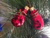 IMG_1137.thumb.JPG.cd347fae3287283fa1f3c