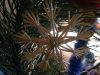 IMG_1170.thumb.JPG.5b28e534cf02c2bad7f79
