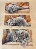 IMG_1519.thumb.JPG.ceb3013bfc8003ca30079