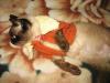 IMG_1595.thumb.JPG.5d214bffa043d62aca0d5