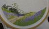 IMG_1602.thumb.JPG.0cb3abd2924bac13bd1d5