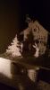 IMG_20151024_224031.jpg