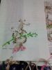 IMG_20151124_131241.thumb.jpg.4aed78e911