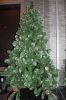 IMG_5302.thumb.JPG.ac251b316888d98abfcbc
