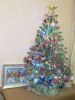IMG_7122.thumb.jpg.3030fe1a9f4874b4f0536