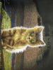 IMG_7893.thumb.JPG.00da69de03e4a79154dc3