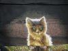 IMG_7931.thumb.JPG.8eae53885959fad8cc4d0