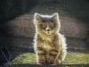IMG_7944.thumb.JPG.d53456f2923a71f9b7751