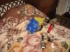 IMG_8400.thumb.JPG.8fe313b9aa54560a08462