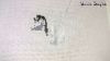 JAckles-01.jpg