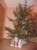 P1010026.thumb.JPG.c67ac9aaf01d1e31bae0c