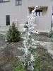 PC130142.thumb.JPG.12586309544e978d70b8a