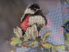 SDC16252.thumb.JPG.92ad62f2aa44fcb57ee65