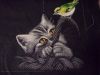 SDC16298.thumb.JPG.3eef597abee9789cad6c2
