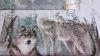 WIN_20151123_153400.thumb.JPG.e5d05190b4