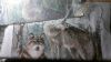 WIN_20151211_223356.thumb.JPG.df181dca1b