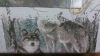 WIN_20151218_204925.thumb.JPG.bc3d4673d9