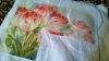 WP_20141115_005.jpg