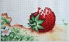 _IMG_4284.thumb.jpg.bc48c83280d64da8bb19