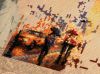 _IMG_4321.thumb.jpg.4fde6dc7bdb82c3b2796