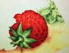 _IMG_4327.thumb.jpg.dc3646b6f8e77107f5bd