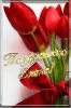 ea07c44fce5201f213c8f2fc9531aa83_Generic