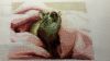 image.thumb.jpeg.42de5b2bbfc8f86e0675588