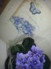 image04582TDA.thumb.jpg.a74a6d50ff0aa064