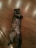 image07XRPQ8U.thumb.jpg.a41d3e2fee5b6c72