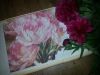 imageC1BCQ82B.thumb.jpg.de1fefa7adca2517