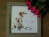 imageC7DH8D7O.thumb.jpg.4bd4956ca4758a17