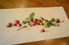 imageNNBV8NYF.thumb.jpg.e3bba798bc346887