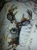 imageS6FWFH81.thumb.jpg.0a1aa53cddaf5a44