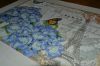 imageSEEHMFE5.thumb.jpg.8ff943f6c0cd603a