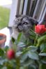 imageXIARVGK5.thumb.jpg.d29fa517fdeb872d