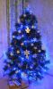tree2016.jpg