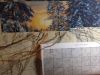 010120083026.thumb.jpg.e51fe7d8553ec5342