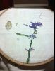 02.thumb.jpg.930fa5f5a871db1ed1d792c539a