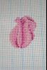 1.thumb.JPG.f140628ceee08d845e403b566bae