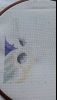 1.thumb.jpg.72cfc0a9f3b6467fc408638e4290