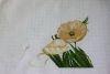 1.thumb.jpg.abcdb675954f78ada32804044236