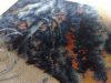 110120163003.thumb.jpg.92a5a71ec078f10cd