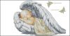 110167.thumb.jpg.729d3a78d0bf333ffa45252