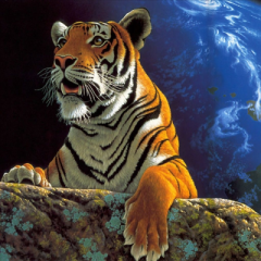 Tigra223