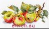 14488.thumb.jpg.72a0fc787c9768dbaffc9edf