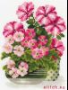 15164.thumb.jpg.beccef5b7d86a2a54f175cec