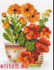 15175.thumb.jpg.471ebb246b5a89eef709284b