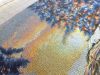 190120163006.thumb.jpg.d174ede3f915765e1