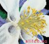 19915.thumb.jpg.6fe282e468f4e7e8b0a07e06