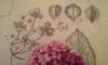 2.thumb.JPG.ace7112872ab27266e940407bb39